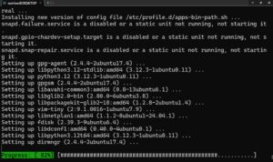 パッケージインストール画面